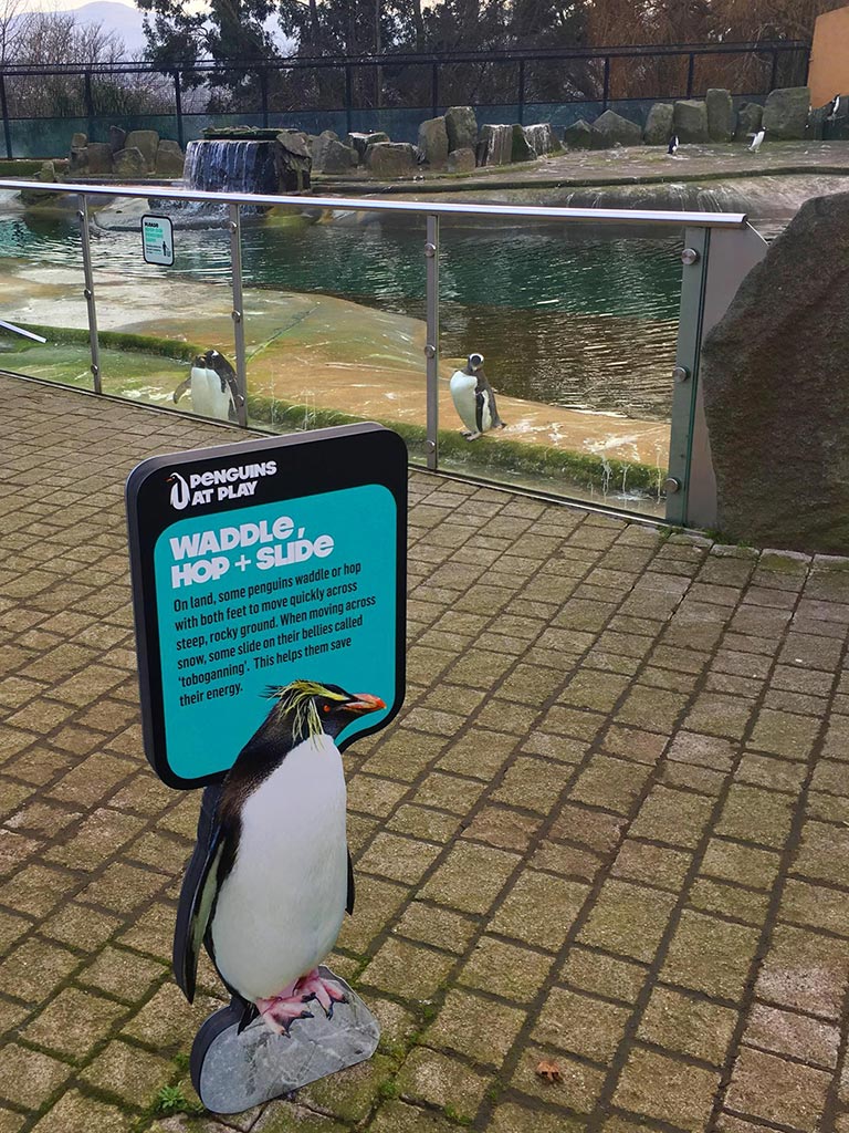 penguin signs at edinburgh zoo