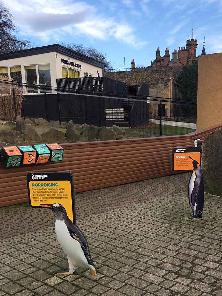 penguin signs at edinburgh zoo