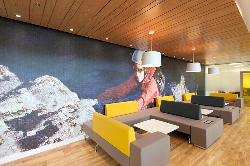 office interior with mountaineer on the wall