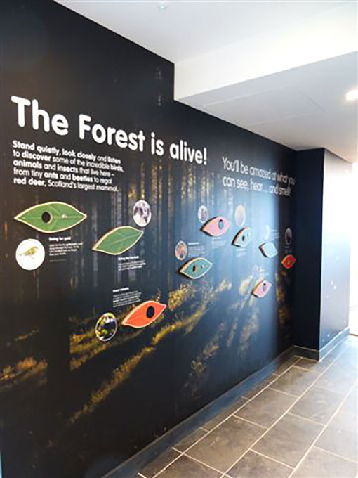 the forest is alive interactive unit