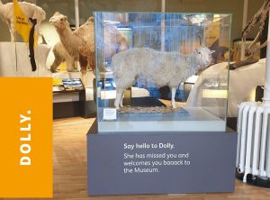 dolly the sheep exhibition